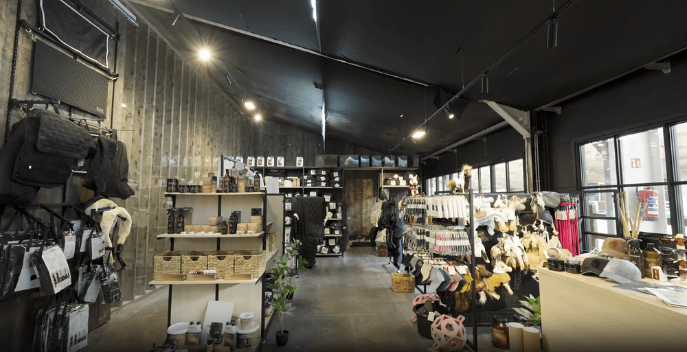 GOLD + VOR JUMPING Azelhof   